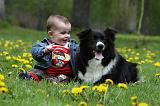 ENFANT ET CHIEN 273